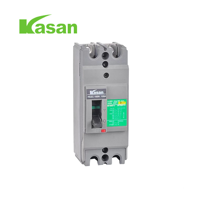 2P EZC Lazer Panel Kalıplı Kılıf Devre Kesici